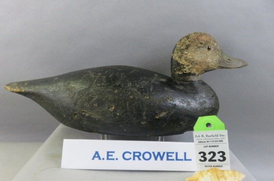 A.E. Crowell Black Duck