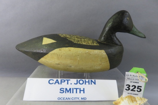 Capt. John Smith Bluebill