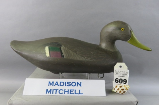 Madison Mitchell Turned Head Black Duck