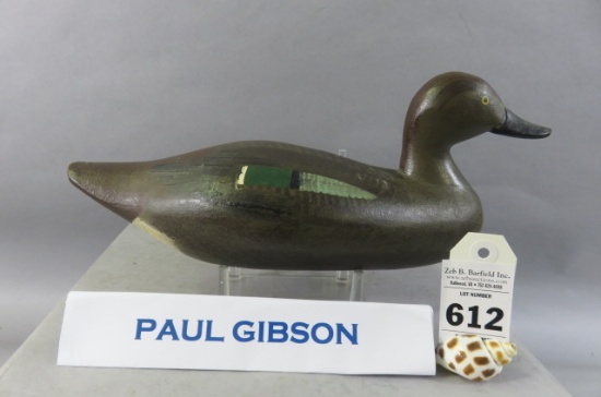 Paul Gibson Teal