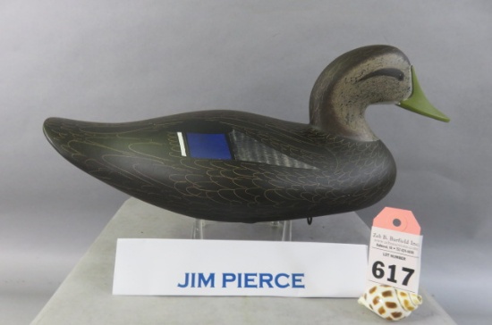 Jim Pierce Black Duck
