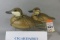 Ruddy Duck Pair by Cigar Daisey