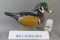 Wood Duck by Bill Schauber