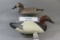 Canvasback Pair by Madison Mitchell