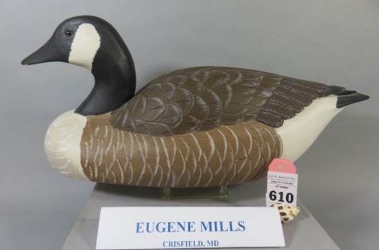 Eugene Mills Canada Goose
