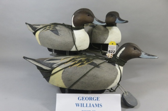 Gary Williams Pintails