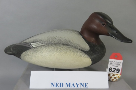 Ned Mayne Canvasback