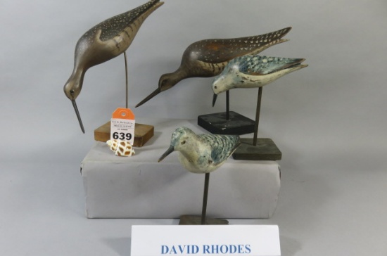 David Rhodes Shorebirds