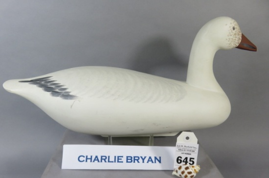 Snow Goose by Charles Bryan