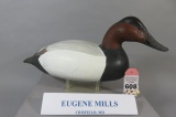 Eugene Mills Canvasback