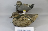 Steve Hammond Gadwalls