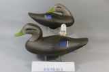 Black Duck Pair by Jim Pierce