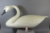 Swan by Dan Brannock