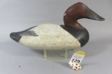 Upper Bay Canvasback