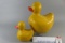 Vernon Bryant Duck & Duckling