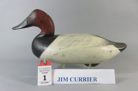 Jim Currier Canvasback