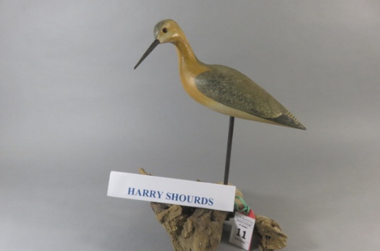 Harry Shourds Shorebird