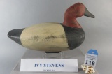 Ivy Stevens Canvasback