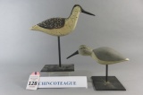 2 Chincoteague Shorebirds