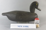 New York Black Duck