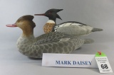 Mark Daisey Mergansers