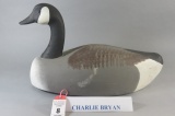 Charlie Bryan Cork Canada Goose