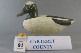 Carteret County Bufflehead