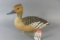 William Browne Whistling Duck