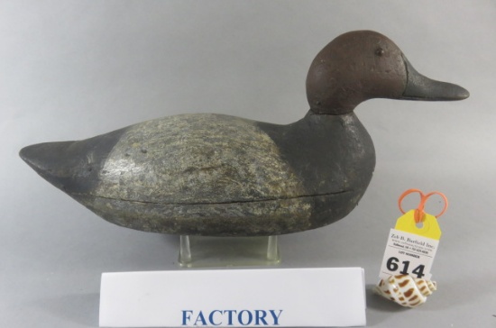 Factory Canvasback