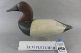 Lum Fletcher High Head Canvasback
