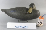 Ned Mayne Black Duck