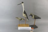 David Kaufman Shorebirds (3)