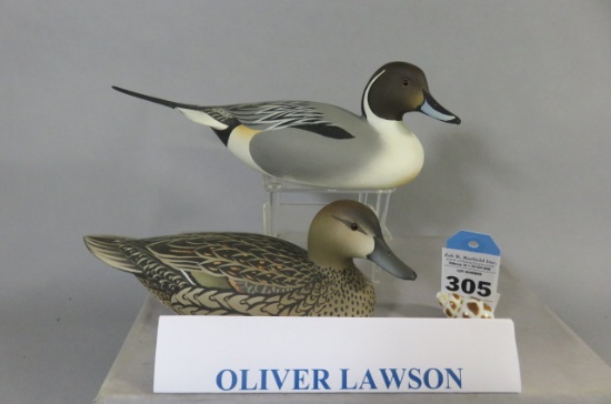 Pr. Oliver Lawson Mini Pintails