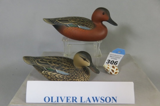 Pr. Oliver Lawson Mini Cinnamon Teal