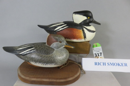 Pr. Rich SmokerHooded Mergansers