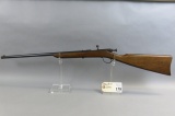 Springfield .22 Rifle