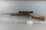 Ruger 10-22