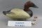 Canvasback by Madison Mitchell