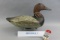 Canvasback by Jim Holly