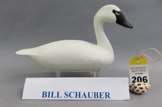 Swan by Bill Schauber