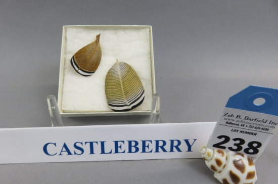 Feather Carvings