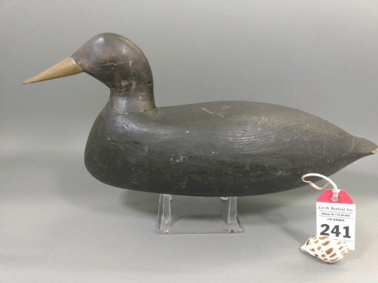 Black Duck by Les Van Brunt