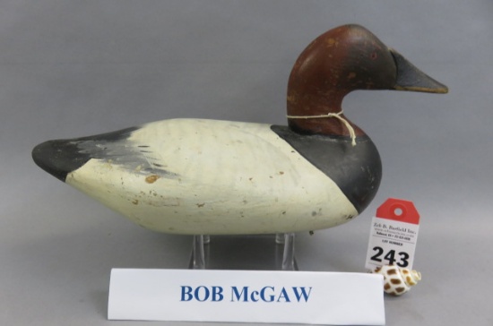 Canvasback by Bob McGaw