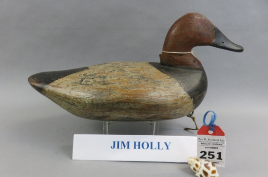 Canvasback by Jim Holly