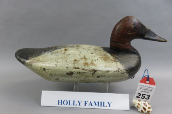 Canvasback from the Holly Family