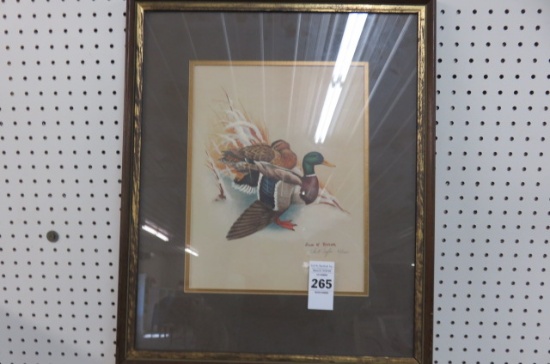 Print by John W Taylor