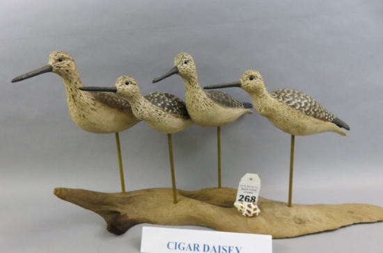Yellowlegs by Cigar Daisey