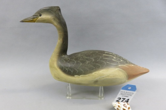 Cormorant by Jimmy Bowden