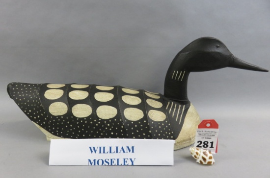 Loon by Will Mosley