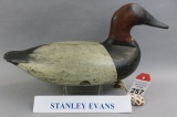 Canvasback by Stan Evans
